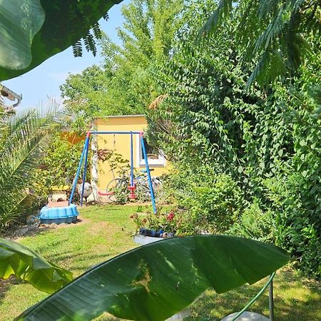 Paradise-Garden-Zamárdi Exteriör bild