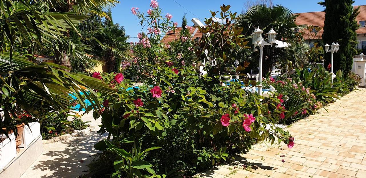 Paradise-Garden-Zamárdi Exteriör bild