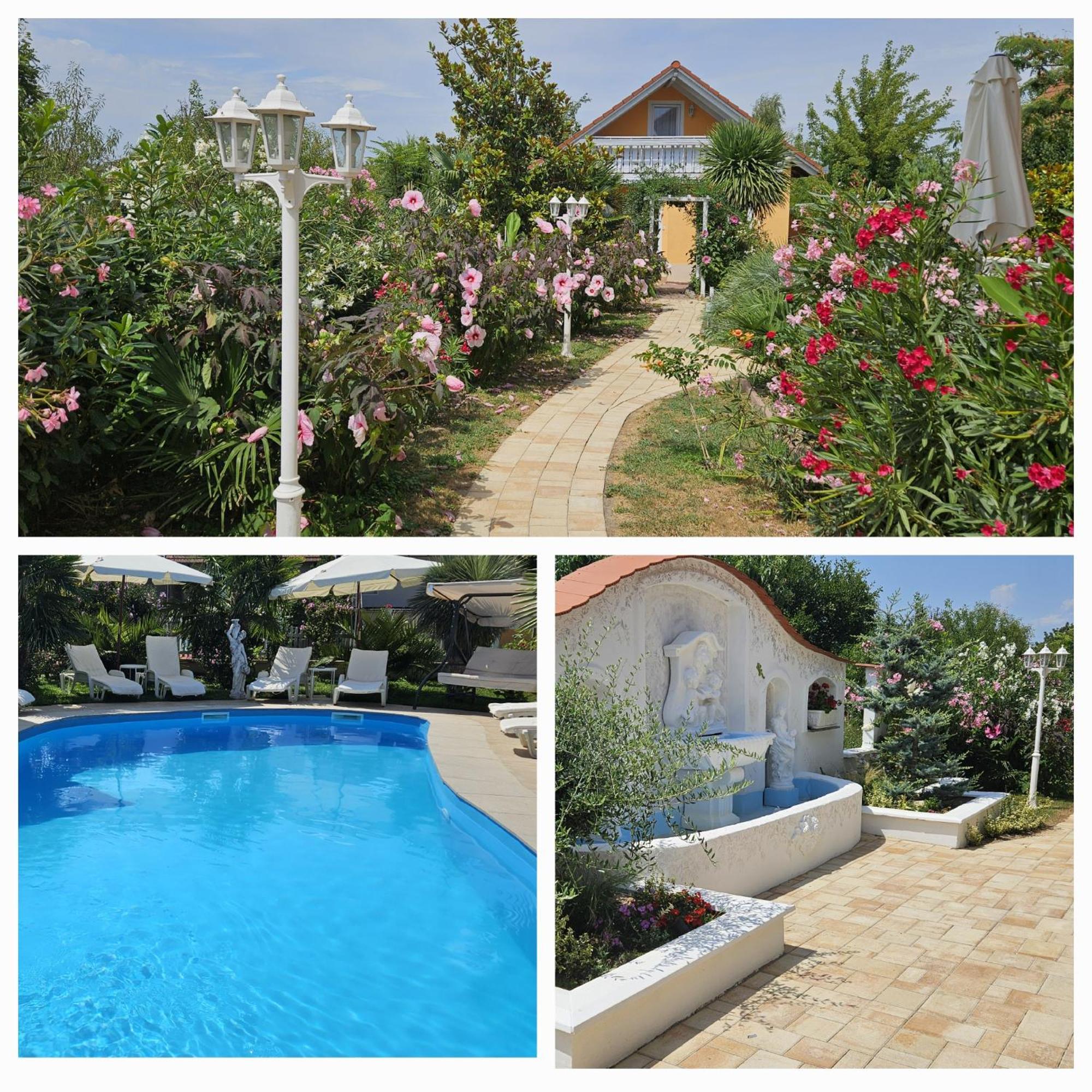 Paradise-Garden-Zamárdi Rum bild